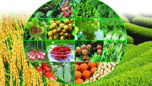 工厂停产下的农业机遇 蔬菜产业能否迎来大发展？