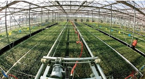 AI引领农业变革 未来十年我国将停止无公害农产品认证