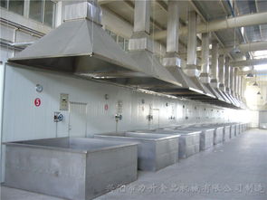 泉州高性价比喷码机配套设备厂家直销，助力蔬菜行业高效标识