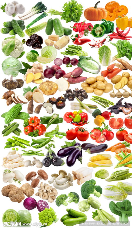 高清多款蔬菜免抠图片设计图 赋能创意与效率的视觉素材