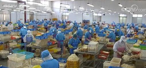 拓市场稳订单，我国蔬菜出口逐步回暖