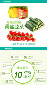 桑盛蔬菜特惠套餐 寿光特产，绿色健康的家庭餐桌新选择