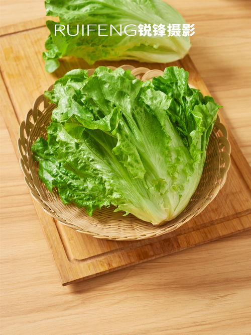 揭秘农产品之美 静物摄影中的生菜拍摄艺术——以武汉锐锋摄影为例