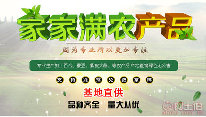 甘肃优质紫皮独头蒜 天然绿色的健康蔬菜之选