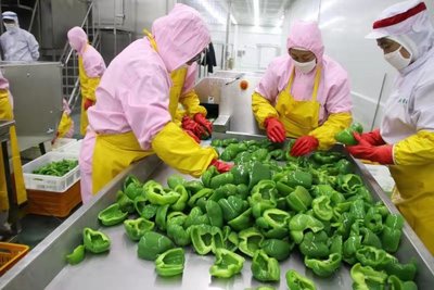 定边探索推进村干部待遇补贴与村集体经济收益挂钩新办法——以蔬菜产业发展为试点