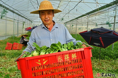 小特色撬动大产业 梅江区苗木产业的市场化、产业化、品牌化路径