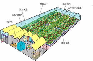 计算机控制的简易植物工厂模型 无公害蔬菜生产新路径
